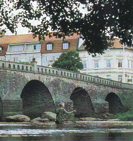 Fly fishing just above the Tullbron in Falkenberg