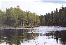 One of the famed tails of the pools for big trout