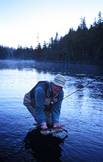 Night fishing bring up the fish